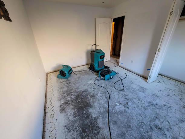 Best Mold removal after water damage  in Far Hills, NJ
