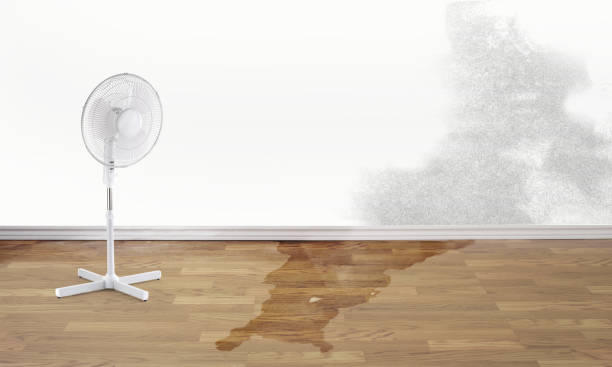 Best Water damage restoration near me  in Far Hills, NJ