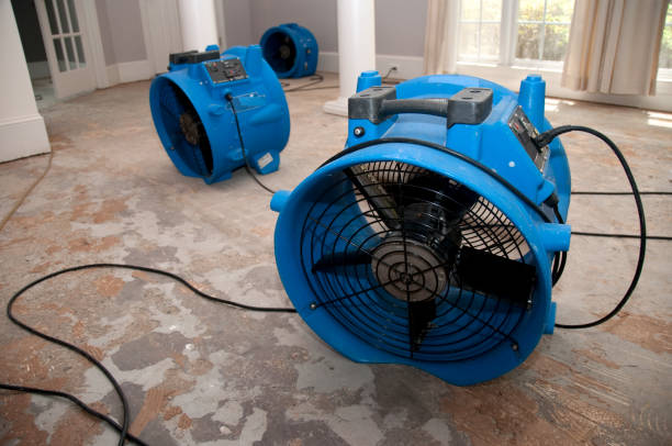 Best Flood restoration services  in Far Hills, NJ