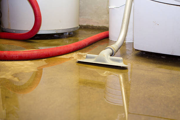 Local water damage restoration in NJ